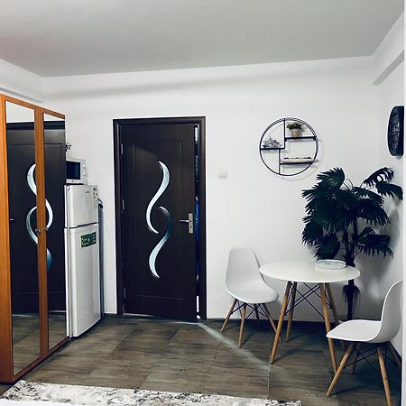 Studio Vio Apartment Tulcea Luaran gambar