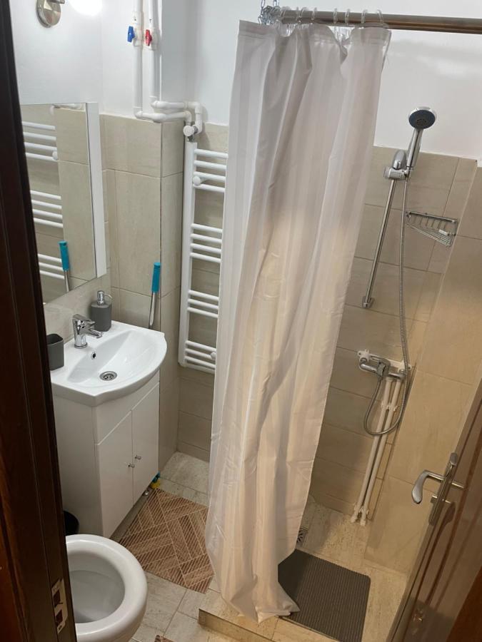 Studio Vio Apartment Tulcea Luaran gambar
