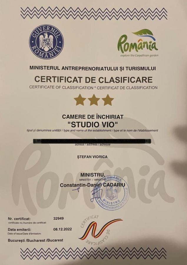 Studio Vio Apartment Tulcea Luaran gambar